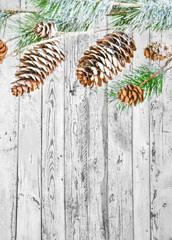 Christmas background with fir branches,pinecones and berries on