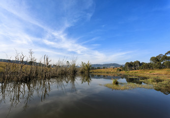 Dead trees are mirrored in the river and beautiful sky in forest