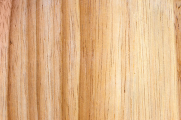 Naklejka premium Texture of wood