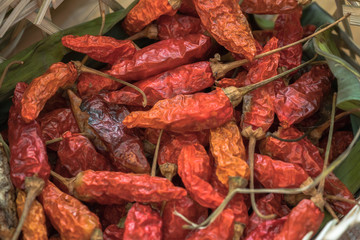 dried red chili pepper

