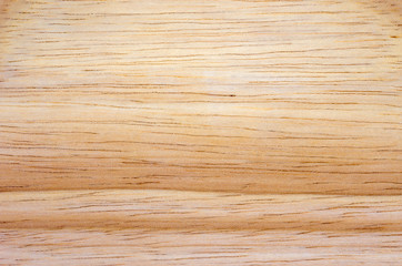 Texture of wood