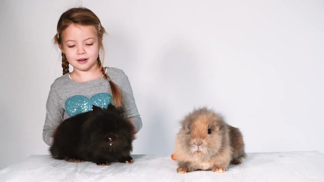 blondes m&auml;dchen spielt mit kaninchen indoor
