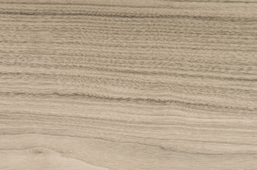 Fototapeta na wymiar background of Walnut wood surface