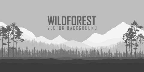 Wild coniferous forest background. Pine tree, landscape nature, wood natural panorama. Outdoor camping design template. Vector illustration