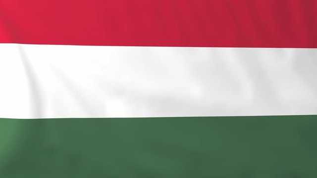 Flag of Hungary. Rendered using official design and colors. Seamless loop.