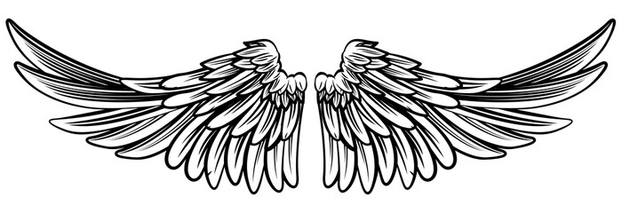 Spread Pair of Angel or Eagle Wings