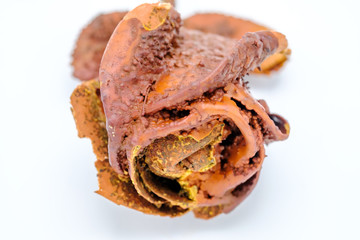 petrified rose, typical souvenir of the Karlovy Vary town in Cze