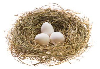 Nest with Easter eggs