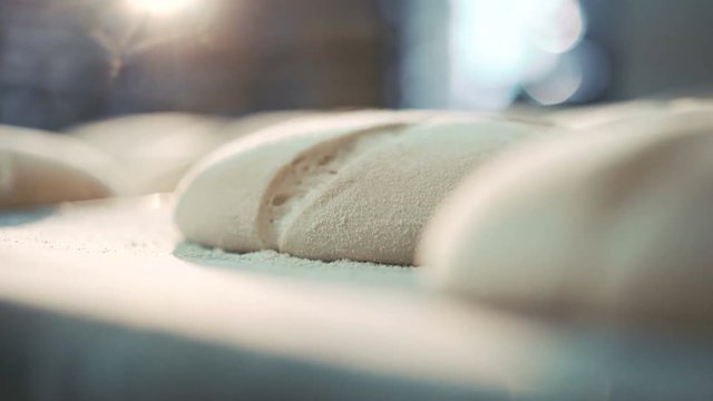 Process of baking breads in 4K