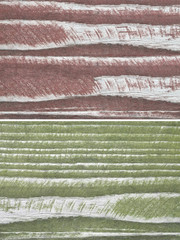 Wood texture. Lining boards wall. Wooden background pattern. Showing growth rings. Set, groupings