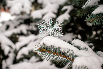 Naklejka na ściany i meble Christmas background and decorative snowflake on Christmas tree branches 