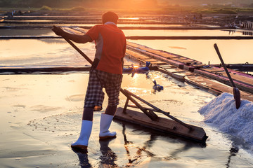 salt field in the glow