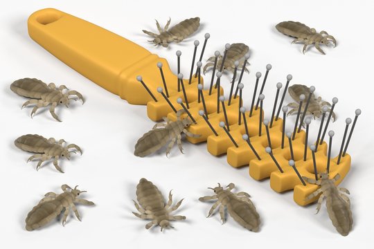 3d render of lices on comb