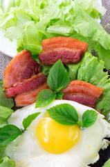 Plate with egg yolk, fried bacon and herbs