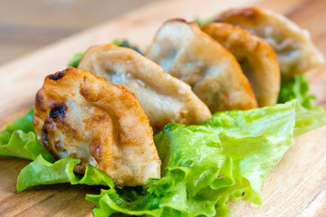 Chinese food Fried dumplings on plate
