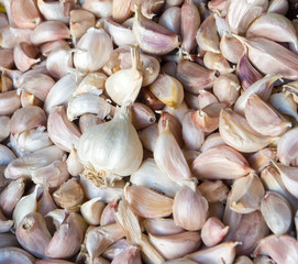 garlic background