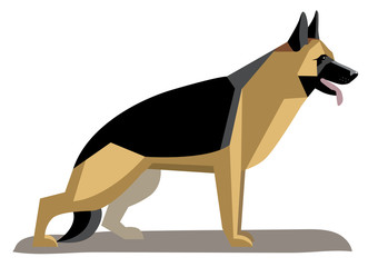 German Shepherd minimalist image