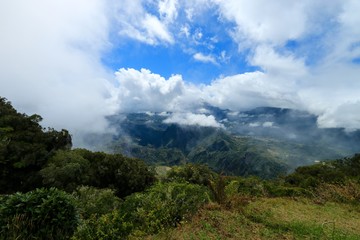 Obraz premium seen on the circus of salazie , Reunion Island National Park, France , october 2016 