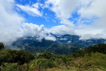 seen on the circus of salazie , Reunion Island National Park, France , october 2016
