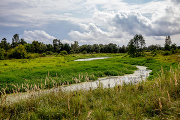 Spokojna, piękna letnia wieś © Anna Granat