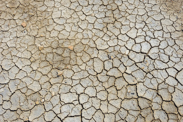 Dry cracked soil surface