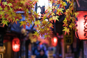 Fotobehang Restaurant street decorated with red leaf in Tokyo © Sean K