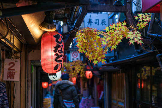 Restaurant street decorated with red leaf in Tokyo