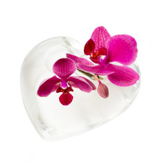 Pinke Orchidee mit Herz aus Glas