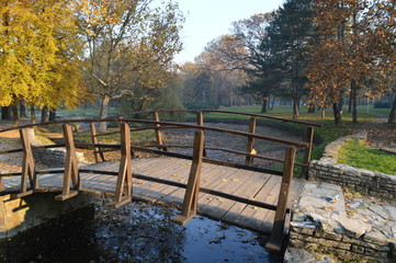 Wooden bridge in park in autumn 2