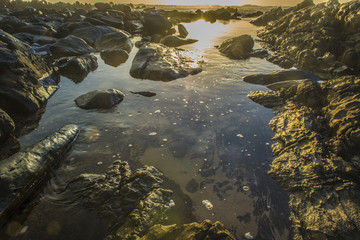 Tidal Pool at Sunset