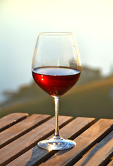 Wine against vineyards in Lavaux, Switzerland