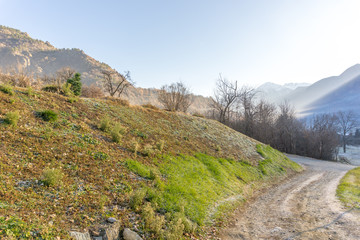 winter landscape, meadow and trees with frost, snow-covered mountains background
