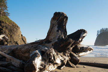 Fototapeta premium Olympic National Park, Olympic NP, Second Beach near La Push