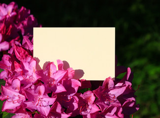 Obraz premium carte de contact