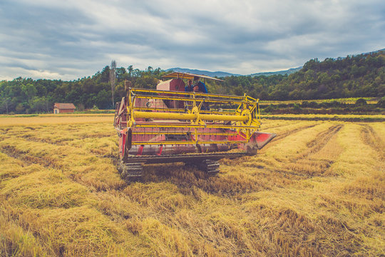 Уборка урожая