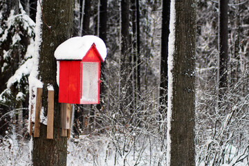 bird house on a tree