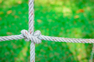 Rope knot in the grass background.