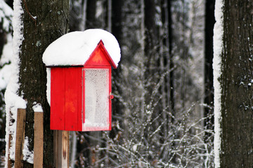 bird house on a tree