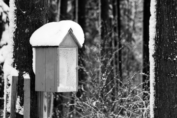 bird house on a tree