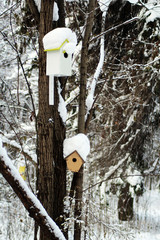 bird house on a tree