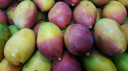 Nice mature mangoes