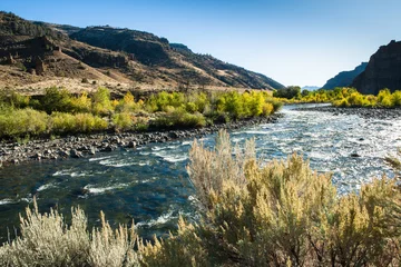 Foto auf Alu-Dibond Shoshone River at Wapiti Valley, Wyoming © Laurens