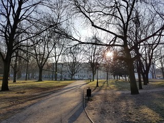 Park jesienią © michalsen