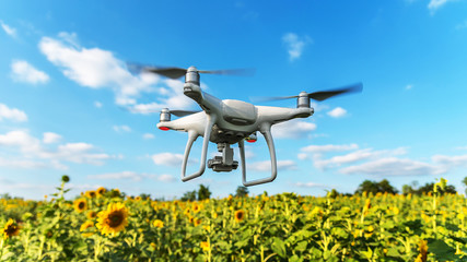 Drone hovering over Sunflower Garden.