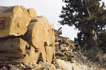 Natural wood background, wood, firewood stacked and ready for us