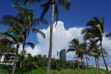 Naklejka premium am Strand von Miami Beach
