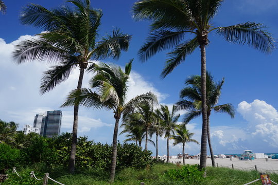am Strand von Miami Beach