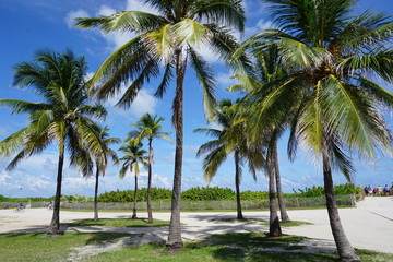 Fototapeta na wymiar Strand von Miami Beach