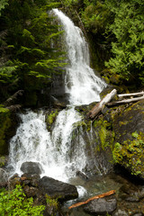 Falls Creek Falls, Mt Rainier Nat'l Park, WA, USA