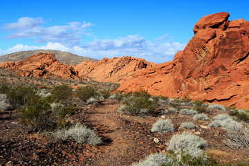 Redstone Rocks Scenic Trail at Lake Mead National Recreation Are